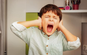 otrok izbruh jeze čustvena regulacija